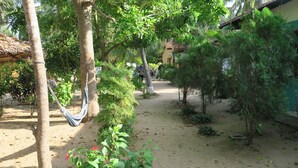 Une cour sablonneuse avec un hamac, des arbres et une structure dont le toit est fait de chaume.