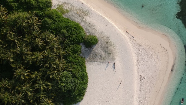 An aerial view of a beach with clear turquoise waters, a sandy shore, and dense green foliage. - Hudhu Velaa (Dhonfanu)