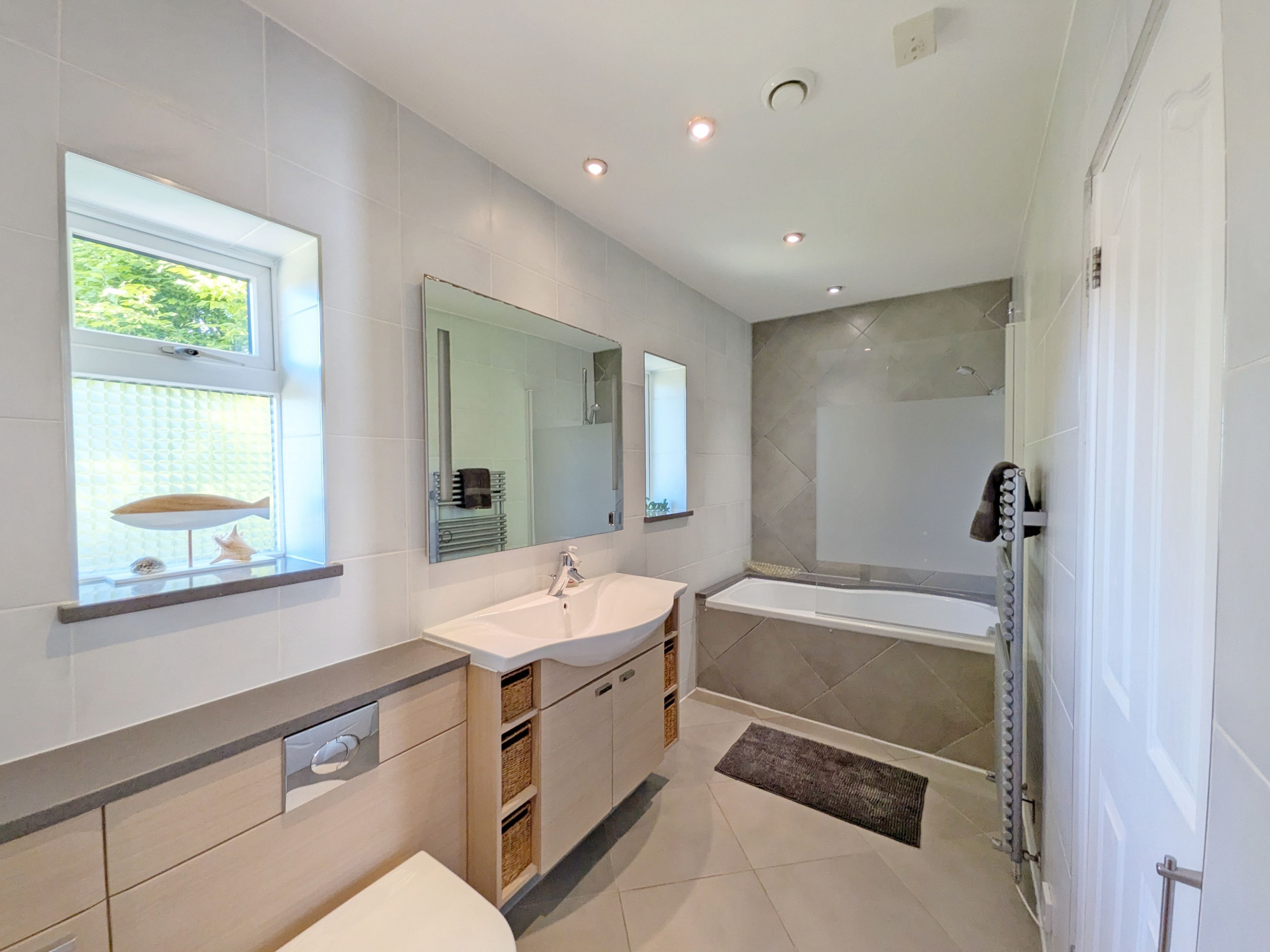 Combined shower/bathtub, hair dryer