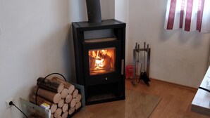 En vedeldad kamin med ved, ett eluttag och en brandsläckare.