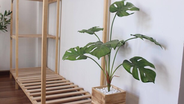 Interior - 1993's House (Ho Chi Minh City)