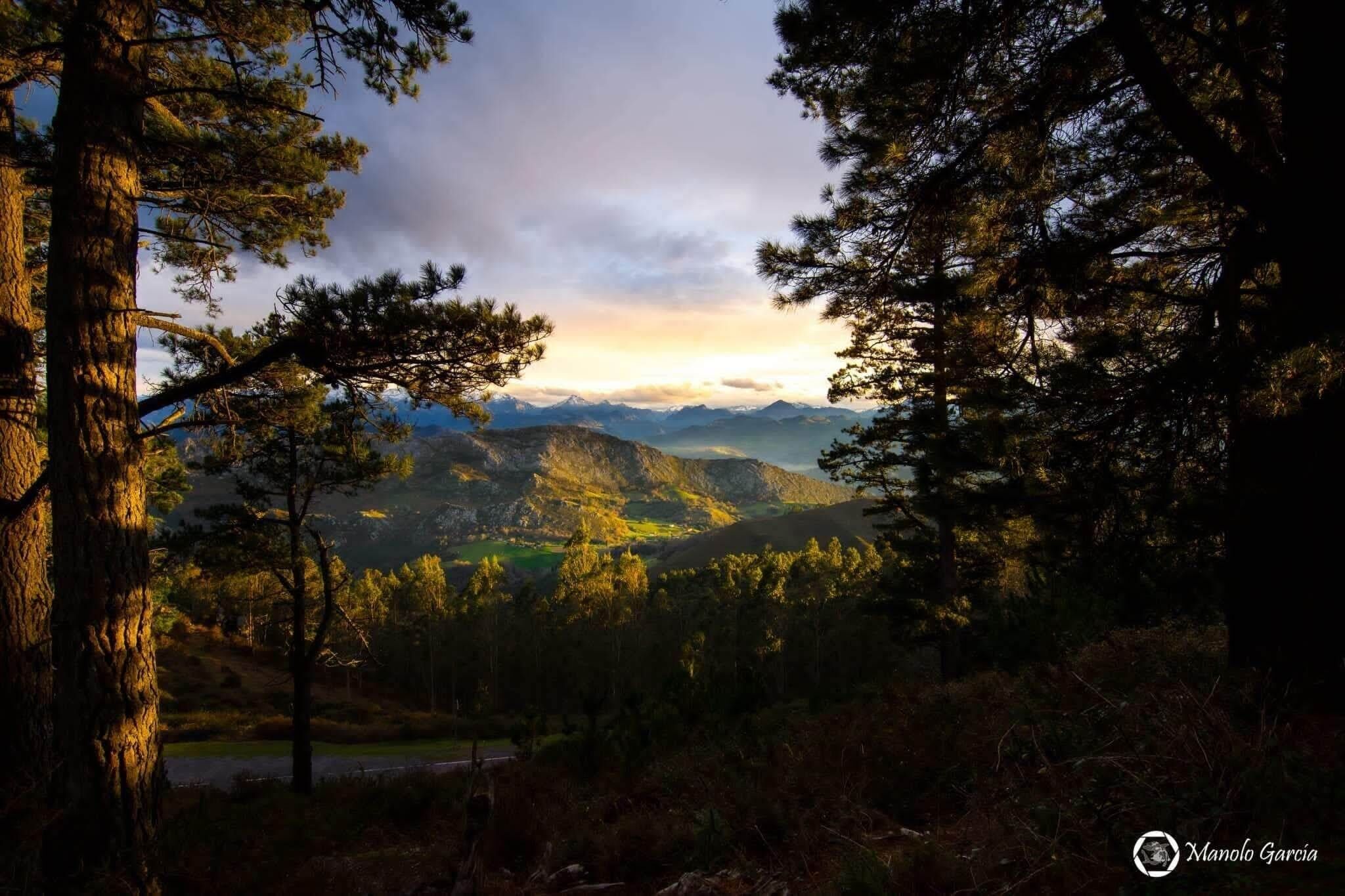 Foto - El interior de Gaia