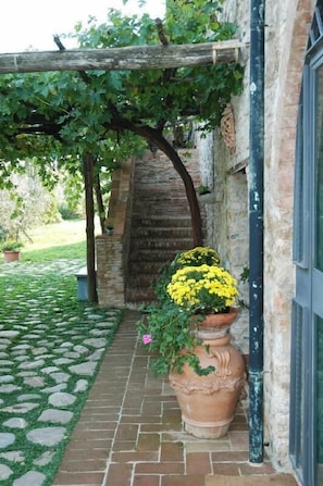 Un sendero de piedra conduce a una construcción rústica con una pérgola de madera y una maceta de terracota grande con flores amarillas.