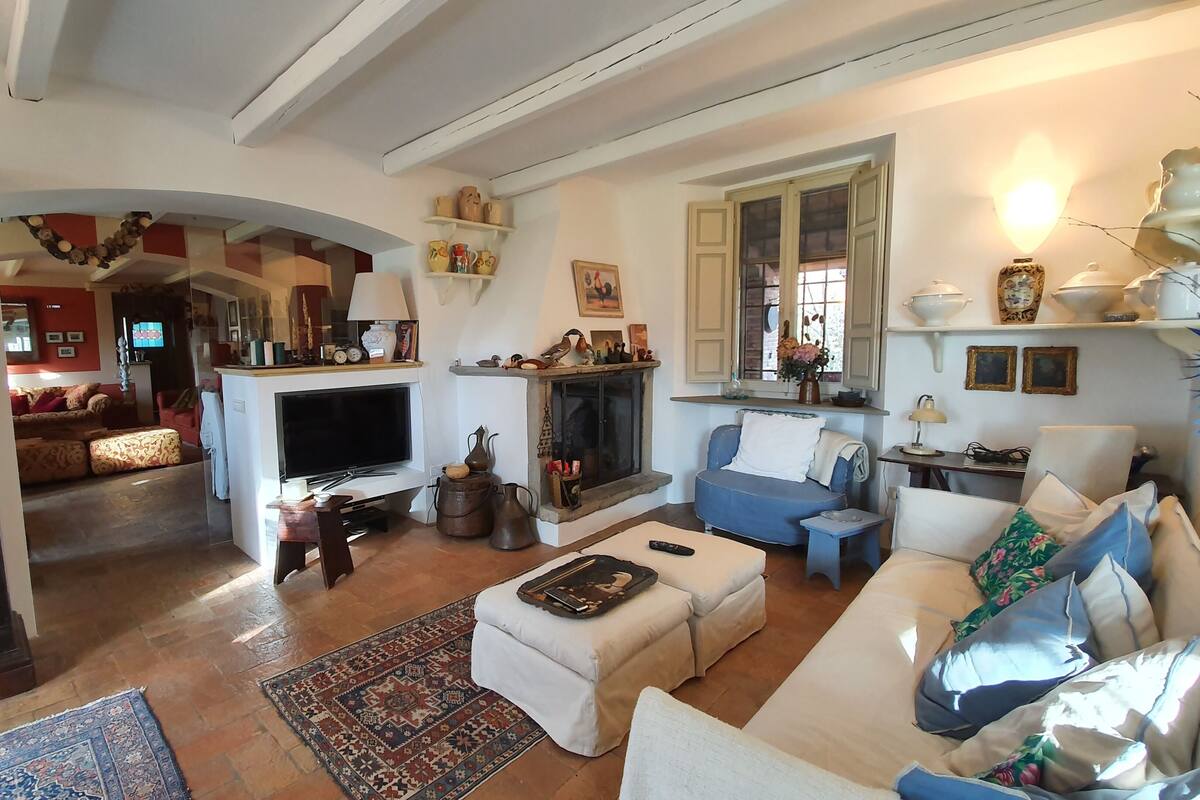 Una sala de estar con chimenea, televisor y sofá.