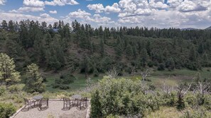 Outdoor dining - Remodeled, Hot Tub, Amazing Views, Great Location (Pagosa Springs)