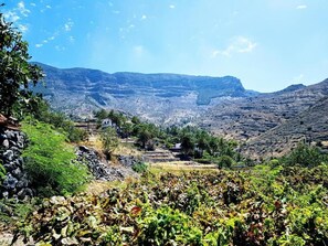 إطلالة الغرفة