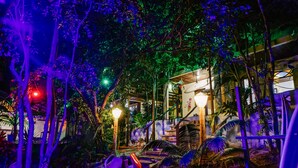 An indoor garden with artificial lighting, a seating area, and a building entrance. - Macaco Surf Hostel (Tibau do Sul)
