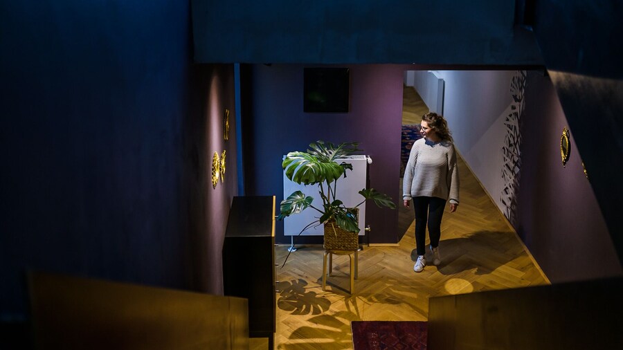 Camino Home2