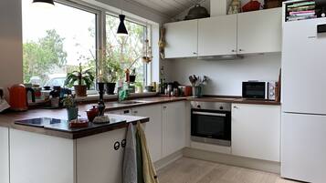 House | Private kitchen | Fridge