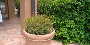 Parco della struttura