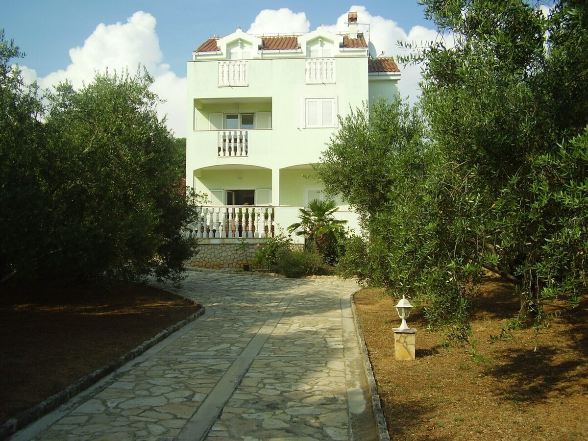 オーナーのプロフィール画像