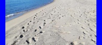 MAISONS DE VACANCES NONNO GAETANO - CAPRIOLI / PALINURO