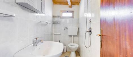 Shower, bidet, soap, toilet paper