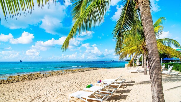 A beach with white lounge chairs, palm trees, and a clear blue sky. - Ocean Front Luxury Condo Panoramic Views of the Caribbean Sea  (George Town)