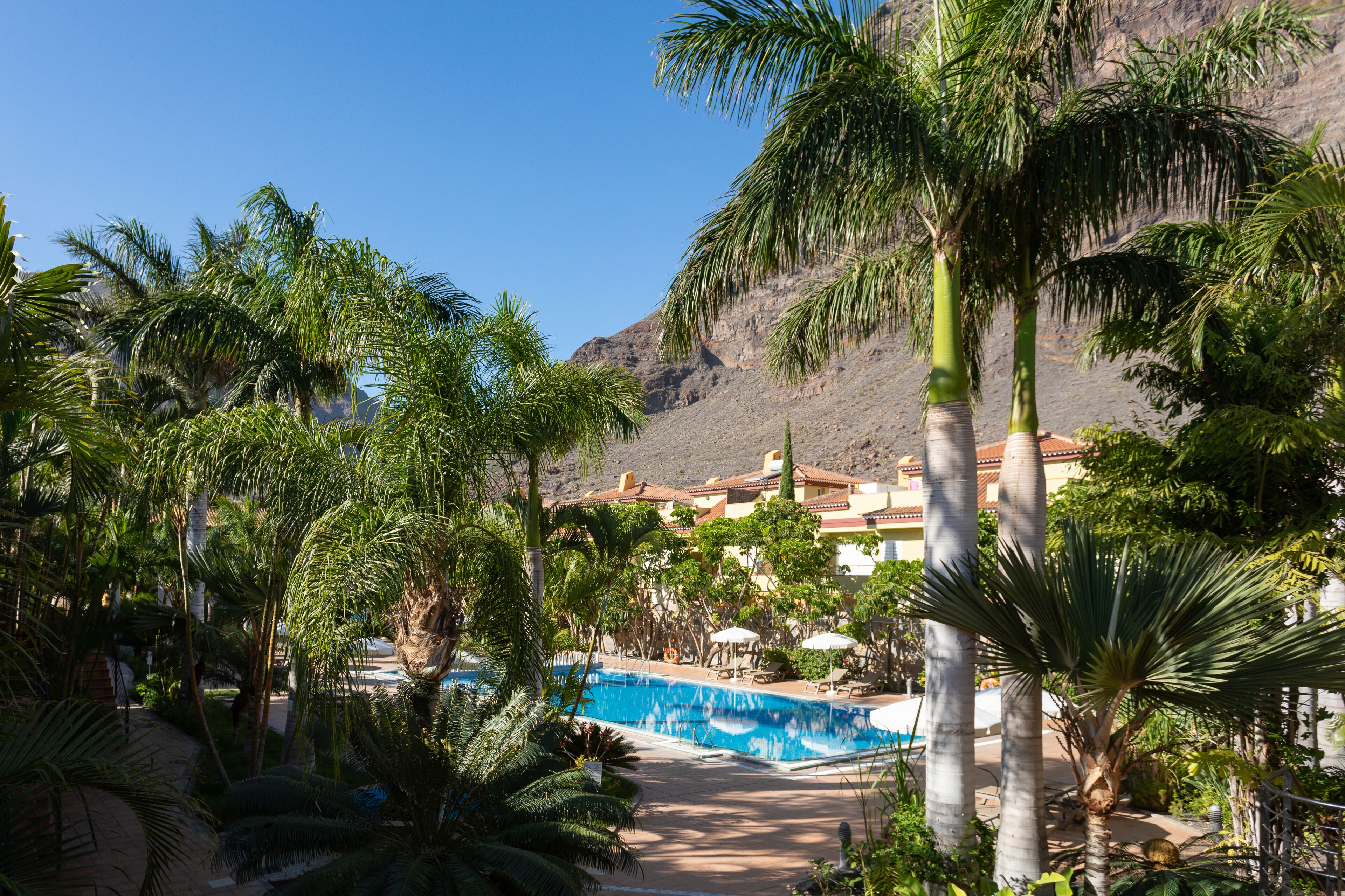 Un resort con piscina rodeada de palmeras y montañas al fondo.