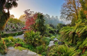 A lush garden with a variety of plants and a small stream. - Homely Cottage with Sun Terrace, Short Walk to Beach (Porthleven)