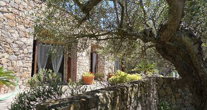 Casa dei Gabbiani, immergée dans le maquis méditerranéen