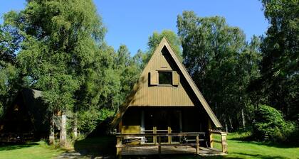 Woodland cottage nestled in woods on the banks of a glorious Highland River