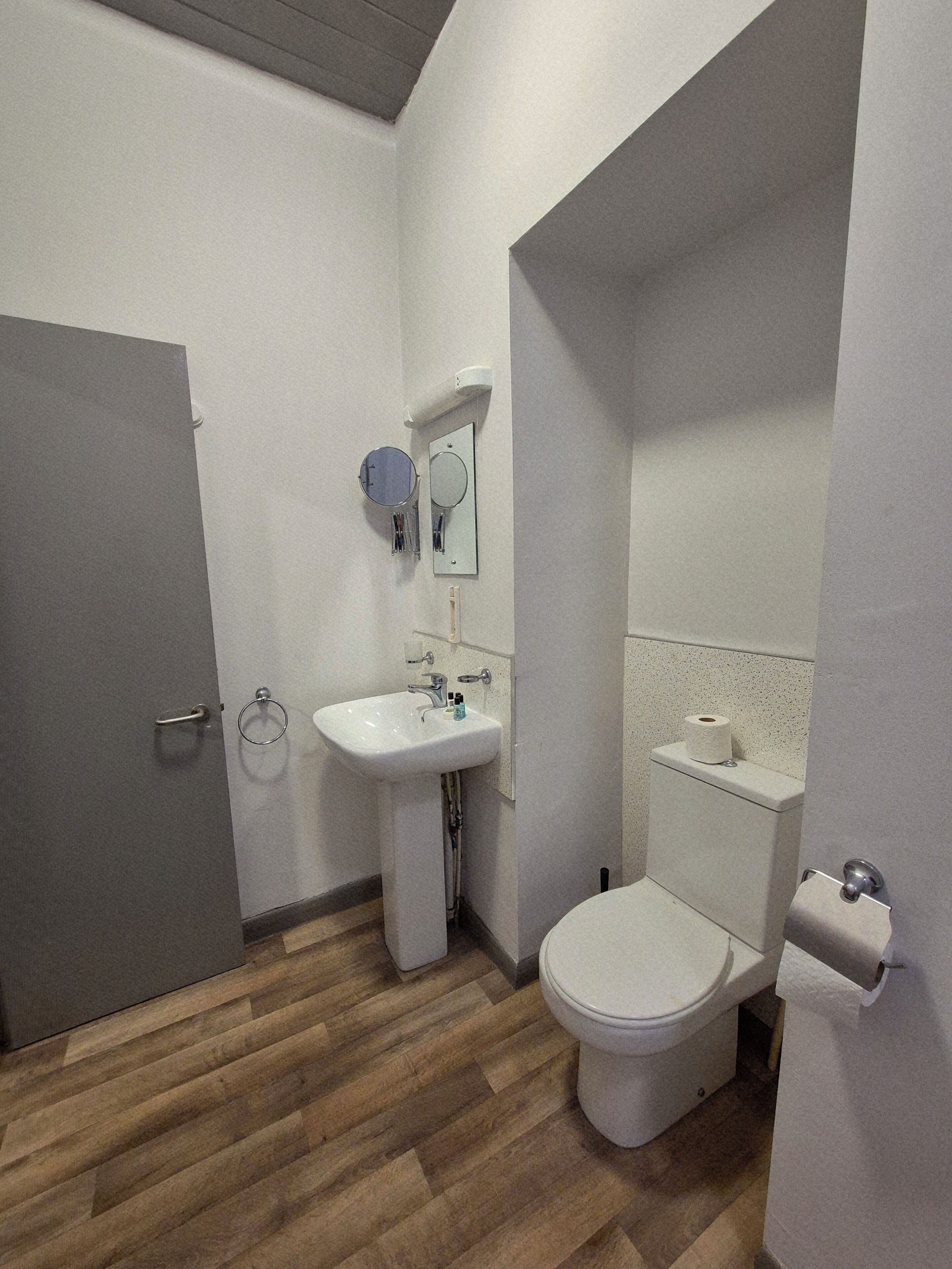 A bathroom with a toilet, sink, and mirror.