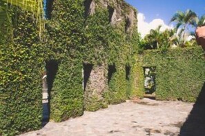 Área da propriedade