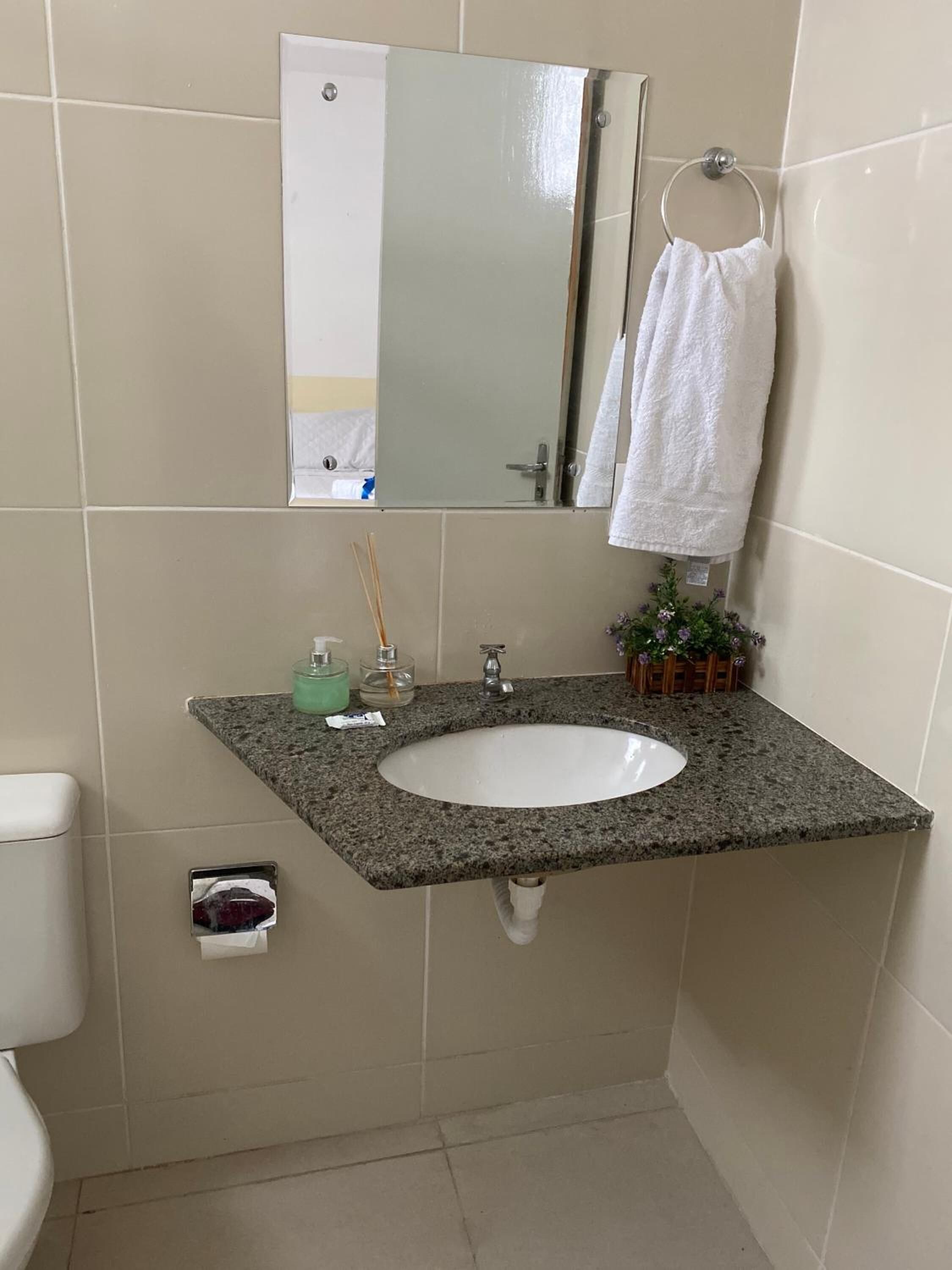 A bathroom with a granite countertop sink, a mirror, a towel rack, and a small potted plant.