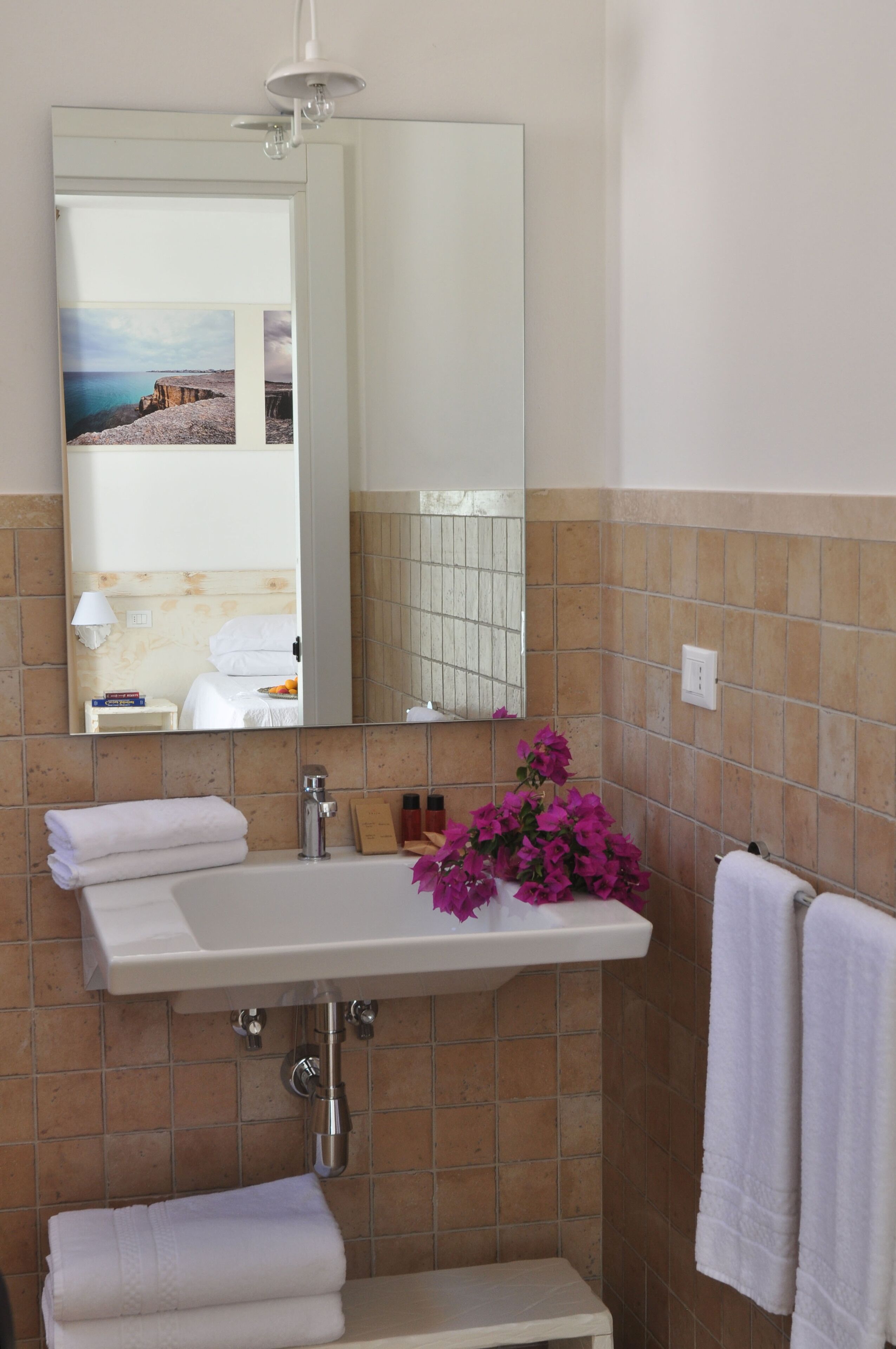 A bathroom with a white sink, a mirror, and a view of a coastal landscape.