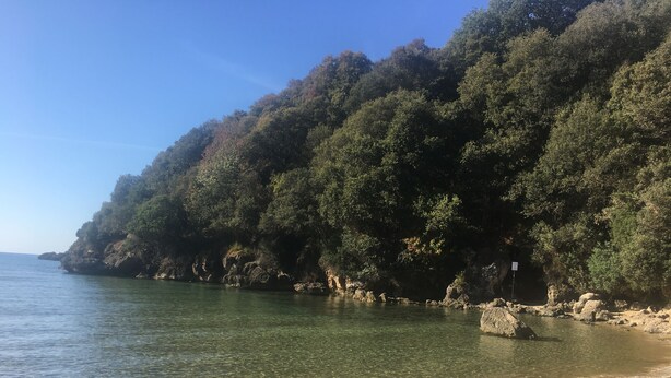 A beach with clear water, sandy shore, and dense green foliage on the hillside. - Rio Marina studio apartment in a characteristic residence 10 meters from the sea (Rio Marina)