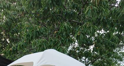 Hos Agnes og Marcin 2vær lejlighed 50 m2