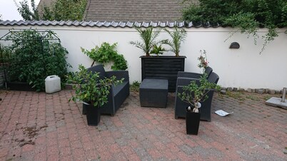 Hos Agnes og Marcin 2vær lejlighed 50 m2