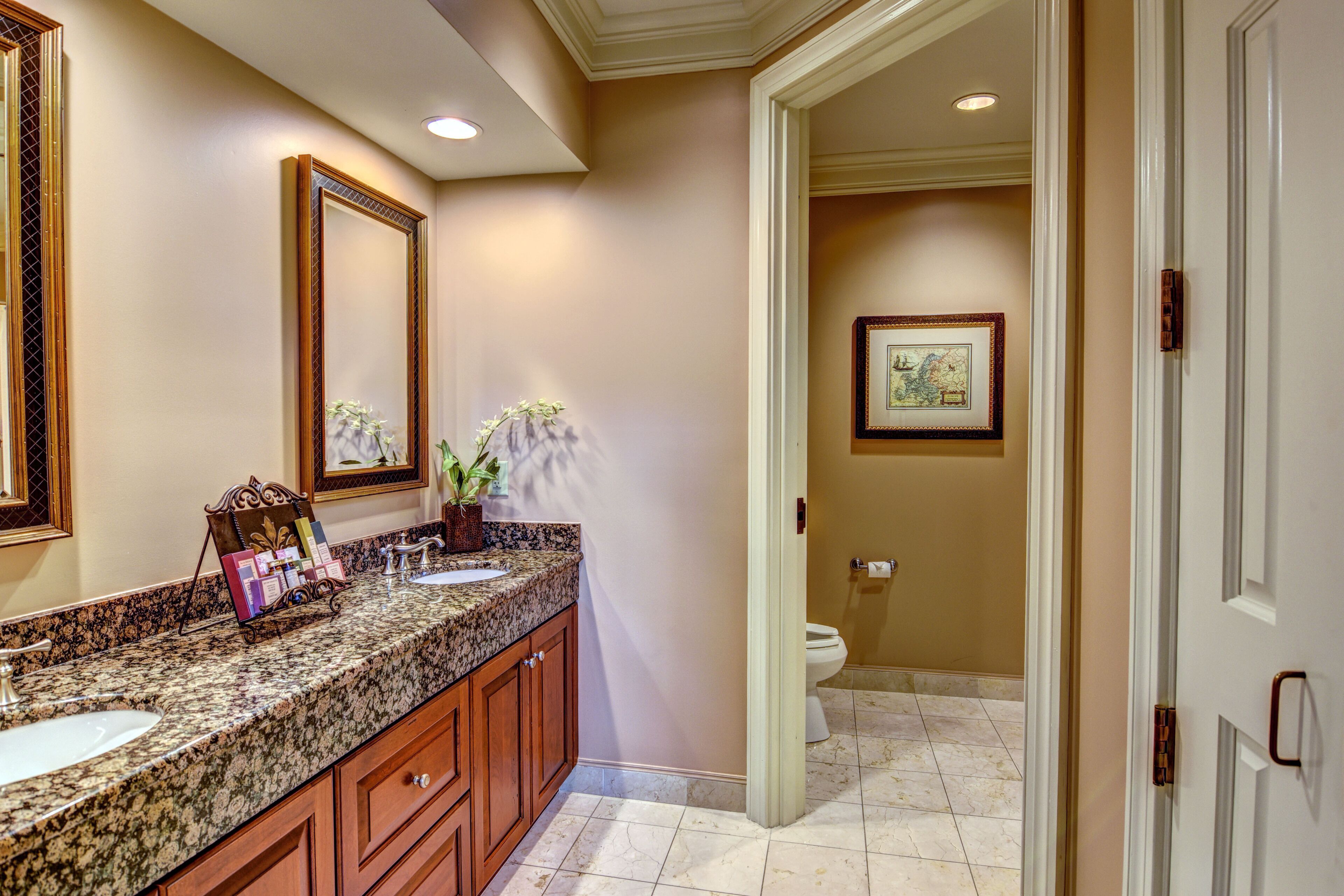 A bathroom with a granite countertop, wooden cabinets, a large mirror, and a framed picture on the wall.