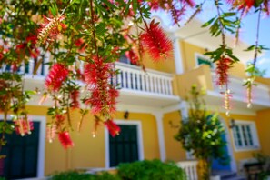 Exterior - Capriccio Studios (Zakynthos)