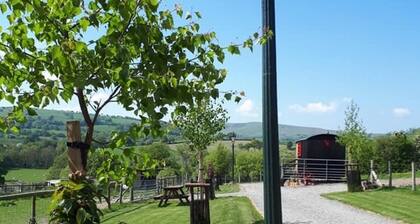 Ruby Shepherds hut Sleeps 4