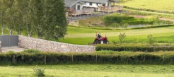 Larch Lodge - UK30009