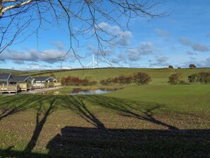 Property grounds - Larch Lodge - UK30009 (Mascalles, near Ulverston)