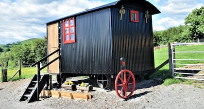 Meadow Shepherds hut
