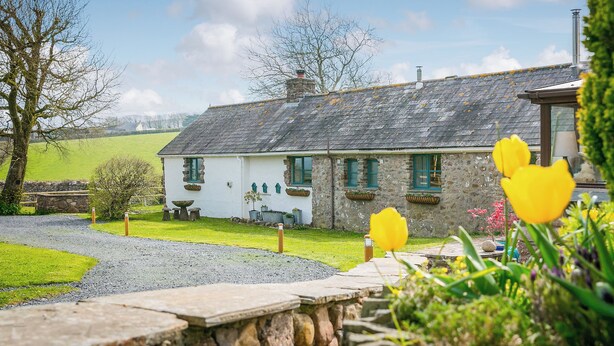 A stone house with a sloped roof, a gravel driveway, and a well-maintained garden with yellow flowers. - 2 bedroom accommodation in Llangennith, near Swansea (Llangennith, near Swansea)
