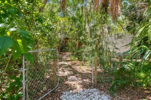 House (Tin Shed Revival Cabin) | Property grounds