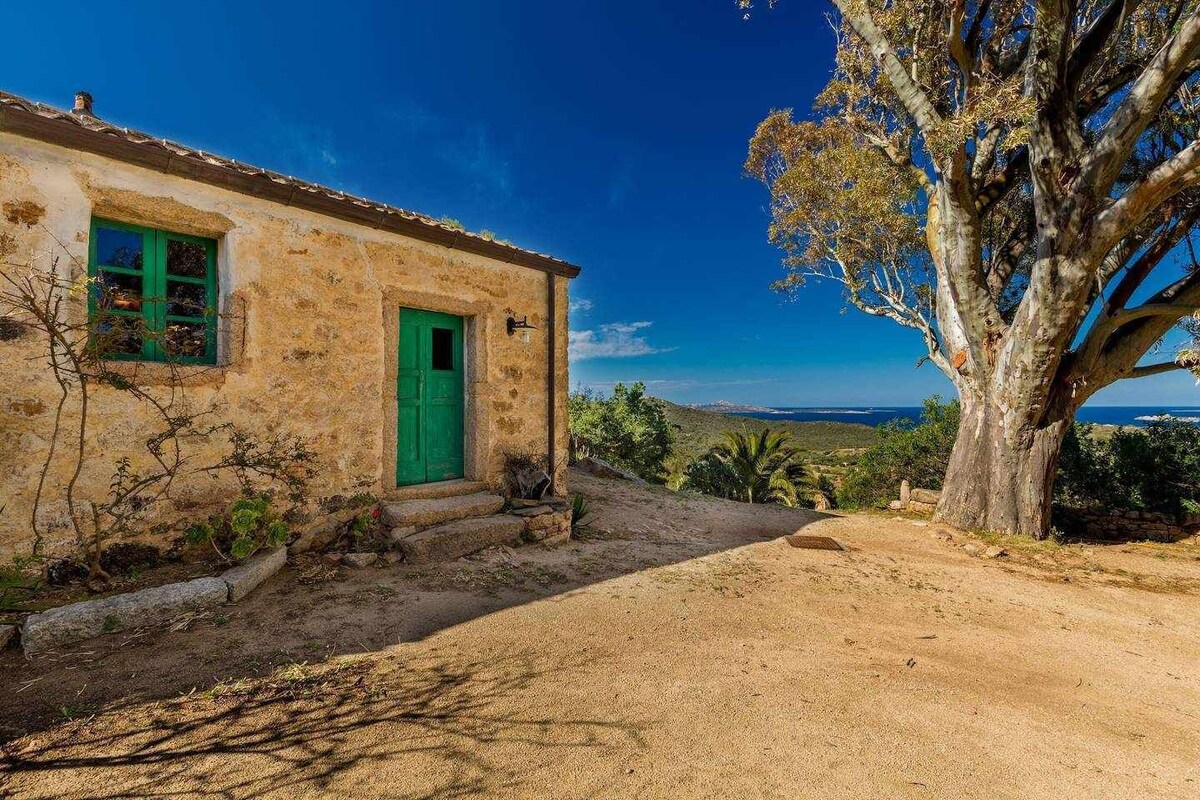 オーナーのプロフィール画像