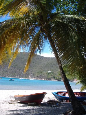 Playa en los alrededores 