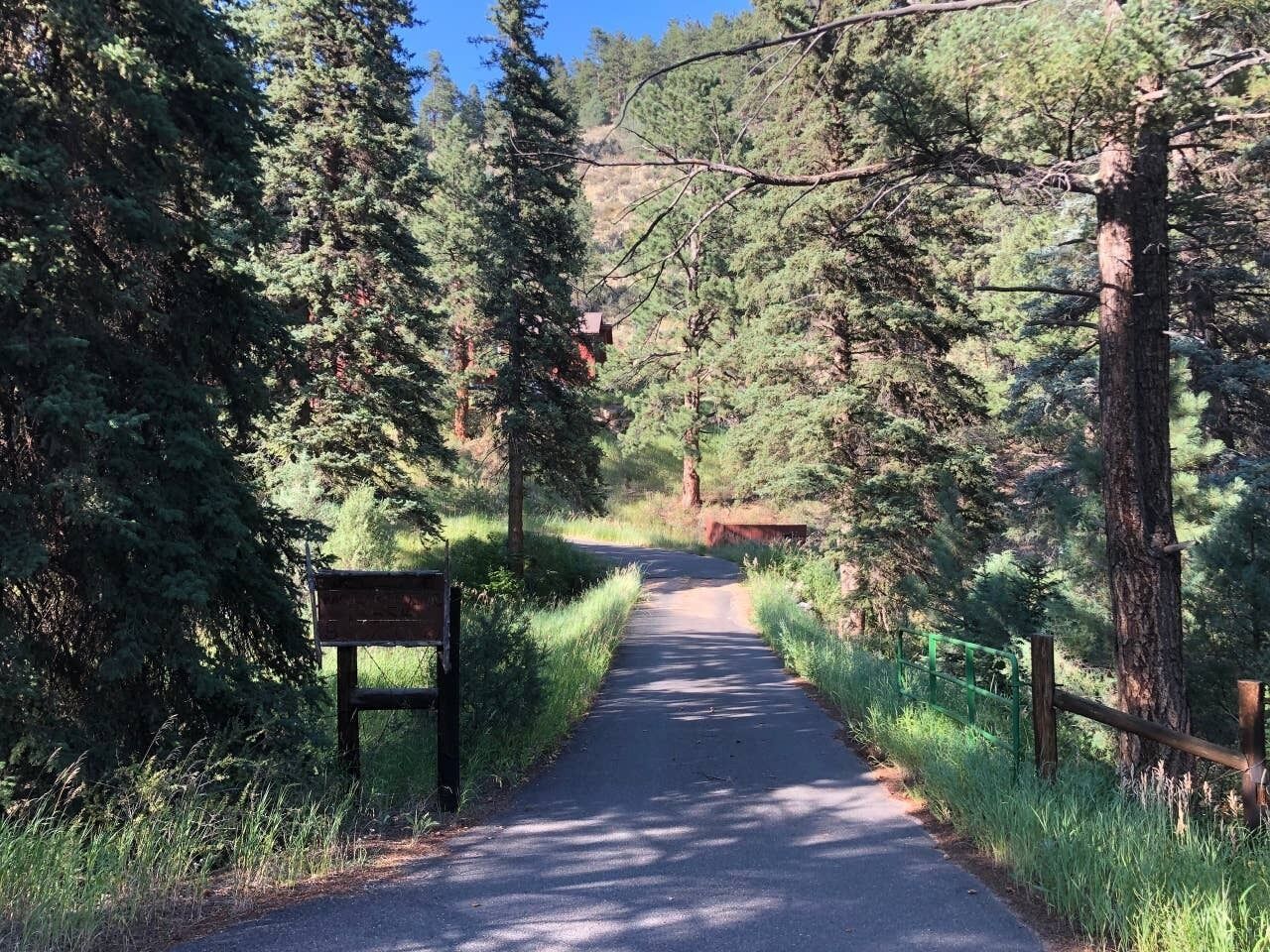 Un sentier bordé d’arbres, avec un panneau indicateur en bois et une clôture verte.