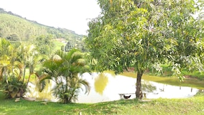 A serene lakeside setting with lush greenery and a calm water body. - Chacara Recanto Paraíso is in a privileged location. (Serra Negra)