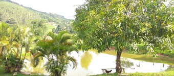 Chacara Recanto Paraíso in a privileged place.