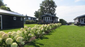 Een rij witte hortensiastruiken langs een verzorgd gazon, met twee gebouwen op de achtergrond.