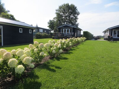 Cozy and rustic cottage plus houseboat on the water