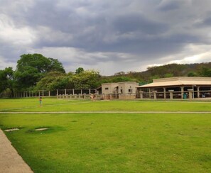 Sportveld