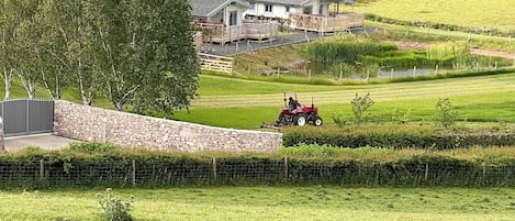 A rural landscape with a stone wall, a tree, and a house with a porch.