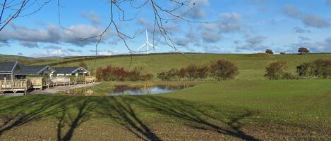 Een landelijk landschap met een vijver, een windmolen en een rij vakantiehuisjes.