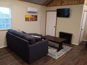 Smart TV, fireplace, books