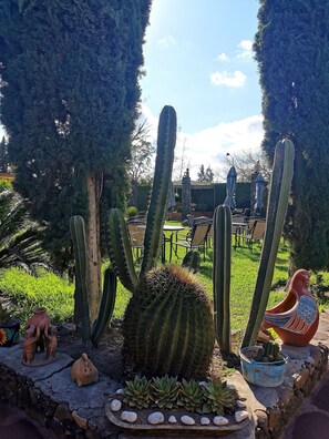 Garden - Hotel La Estancia Spa (Rio Verde)