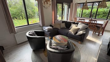 TV connectée, cheminée, livres